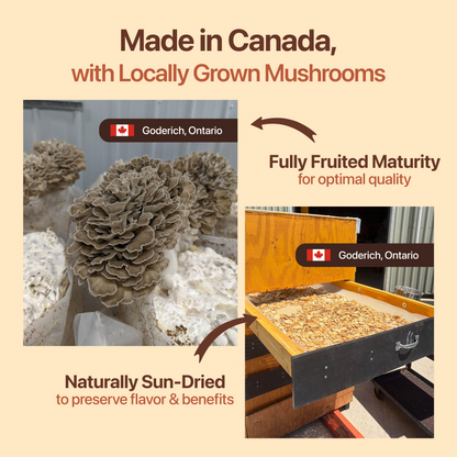 Functional Mushroom Coffee