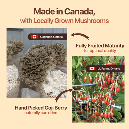 Functional Mushroom Coffee