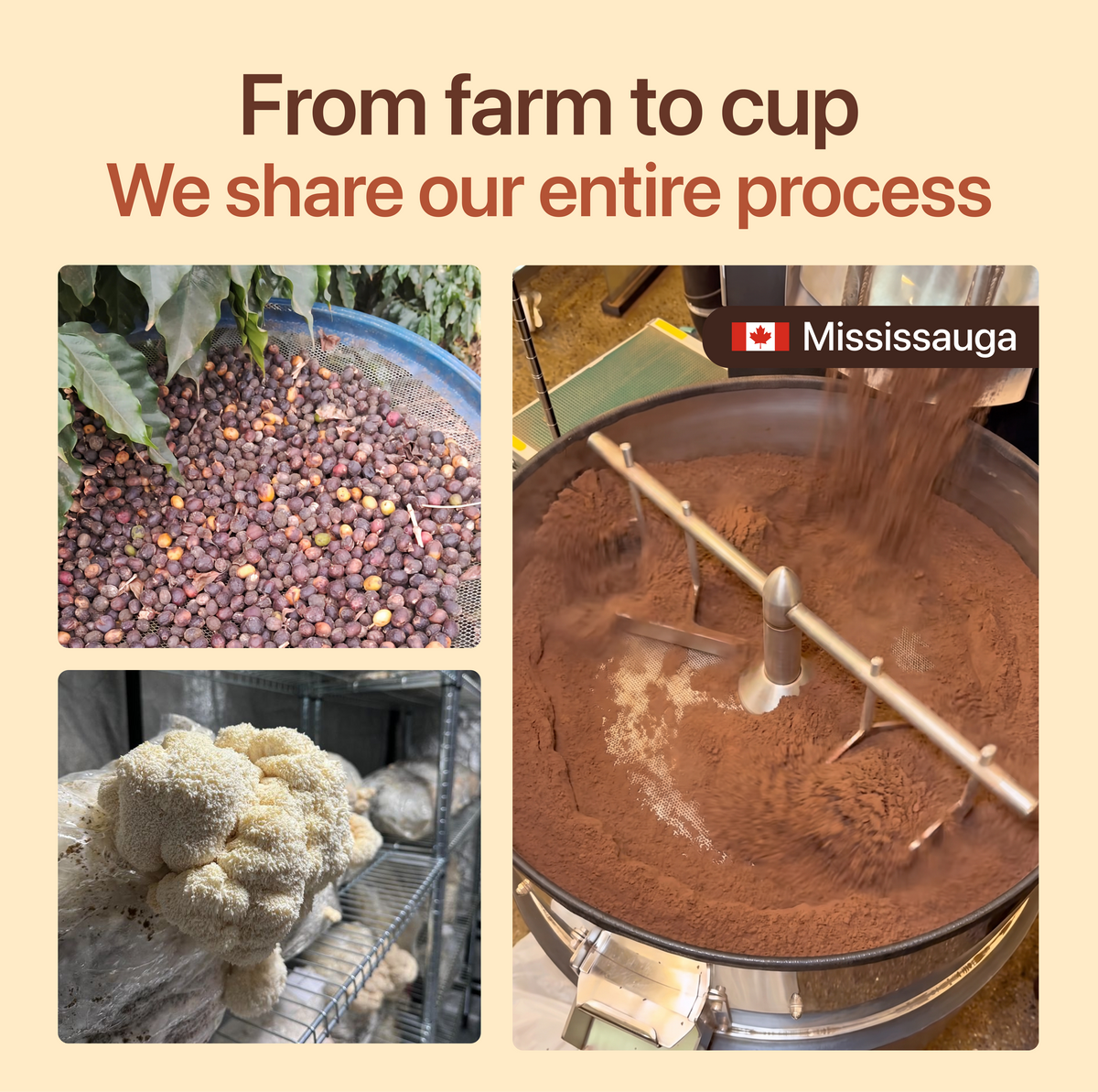 Flush™ Ancient Superfoods Coffee
