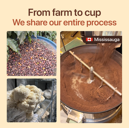 Flush™ Ancient Superfoods Coffee